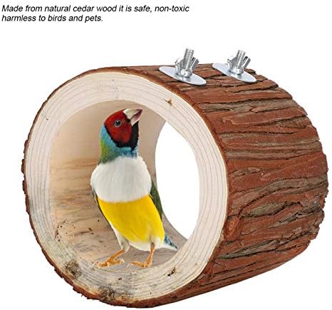 Zerodis Птица Дупка В Дървото, Домашни Птици и Естествена Дървена Двойно Легло Инкубационное Отглеждане на Пещерен