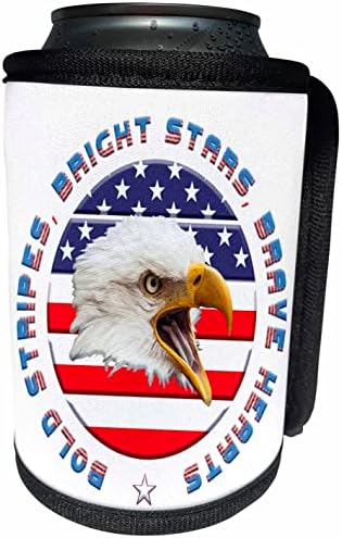 3росите американски флаг, белоголового орлана. Смели патриотичен подарък. - Опаковки за бутилки-охладители (cc-362804-1)
