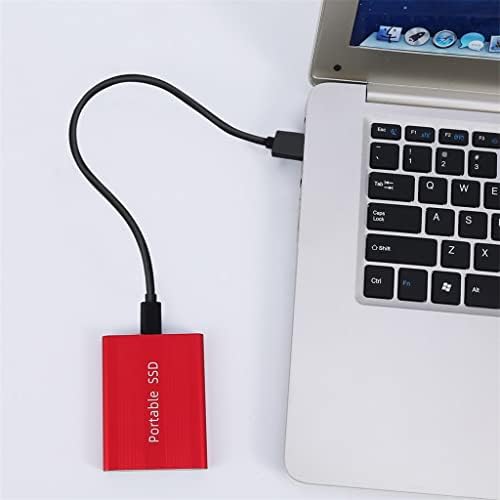 Преносим SSD устройство XDCHLK USB 3.0 USB-C 1 TB 500gb Външен твърд диск на 6.0 Gbit/с Външен твърд диск за десктоп камера на лаптоп или сървър (Цвят: бял-Динозавър Doodle4, Размер: 1 TB)